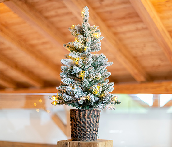 Evergreen LED-Weihnachtsbaum mit geflochtenem Übertopf, ca. 90 cm online  bestellen bei Tchibo 658582