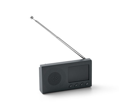Tragbares DAB/FM-Radio mit Bluetooth online bestellen bei Tchibo 638299