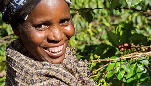 GUT GEMACHT - Fair handeln mit Fairtrade